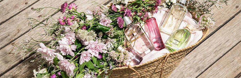 Perfume and Fragrances - L'Occitane